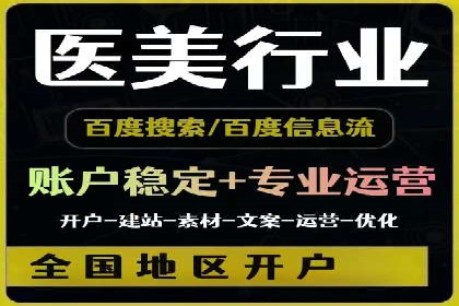 解析某某SEM服务公司的广告投放策略与效果评估